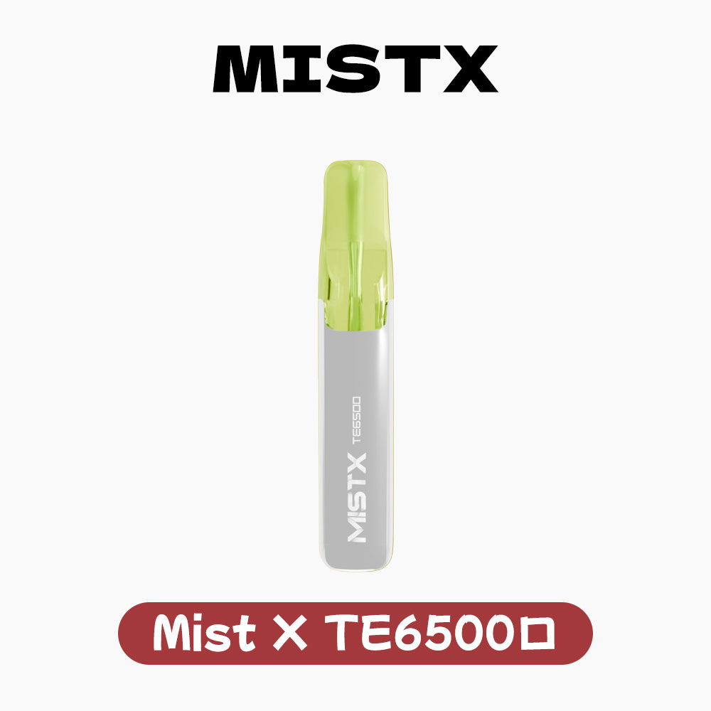 Mist X 抛棄式 6500（鴨嘴獸）